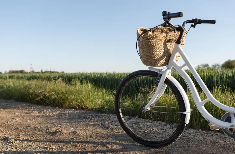 Wo der Weserradweg auf die Cuxlandparks trifft